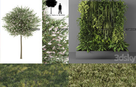 4組植物模型合集