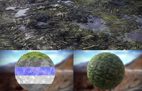 Material – Wet marsh grass  Pete Mc Nally  ?
