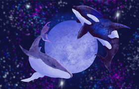 Skillshare - Procreate for Beginners Learn the Basics Flying Whales around the Moon    ?