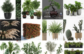 25組植物模型合集