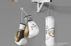 Sports boxing set