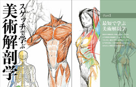 スケッチで學ぶ美術解剖學 (加藤公太)  - book