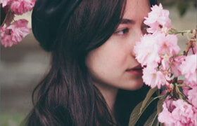 Udemy - Adobe Lightroom照片編輯的基本課程