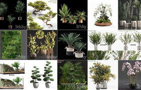 50套植物盆栽樹木裝飾品模型
