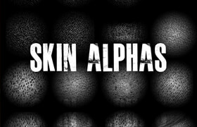 Artstation - Zbrush Skin Alphas - zbrush筆刷