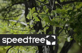 SpeedTree - 植物創建軟件