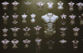 Artstation - TORSOS - 33 Character & Creature Zbrush Insertmesh Brush - zb筆刷