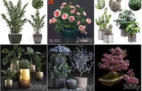 50組植物盆栽模型合集