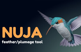Nuja - Blender 創(chuàng)建羽毛的工具包