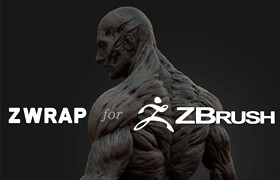 Faceform Zwrap - Zbrush 自動匹配拓撲模型插件