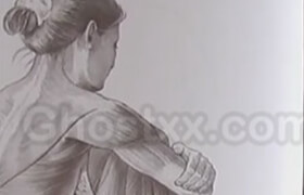 Art lessons center - Drawing Exercises (ALL CLASSES) - Milan Glozi?
