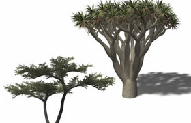 Xfrog 非洲植物模型庫