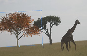 Udemy - Adobe Photoshop CC Beginner to Intermediate Course