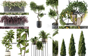 50組植物盆栽模型合集20230927
