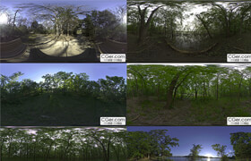 ?13 Forest HDRI Environment Maps