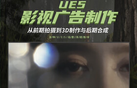 【正版】UE5影視廣告制作—前期拍攝到3D制作與后期合成【海灘/沙漠/森林/自然環境等】