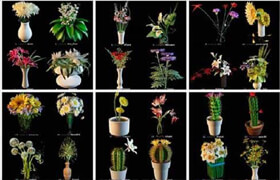 室內植物模型