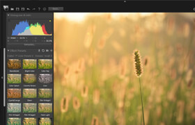 PT Photo Editor Pro Edition - 功能強大的輕量級RAW照片編輯器