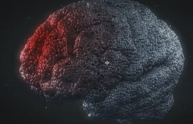 After Effects 粒子特效動畫插件 Stardust 1.6 的教程和預設(shè)