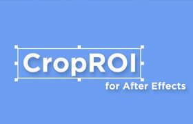 CropROI - After Affects 中方便地裁剪預合成的插件