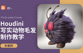 【正版】Houdini寫實動物毛發制作教學【三合一多案例】