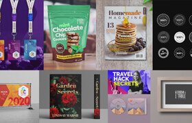 Skillshare - Master Graphic Design & Software with Practical Projects -  Lindsay Marsh