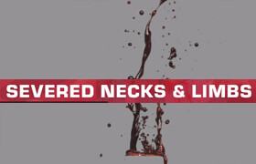 ActionVFX - Severed Necks & Limbs - 視頻素材