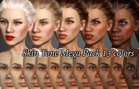 Reallusion Marketplace - Skin Tone 13 Pack - 材質(zhì)
