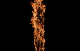 ActionVFX - Forest Fires - 視頻素材