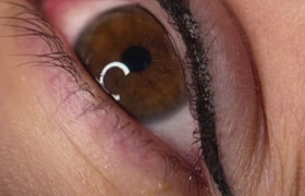 Udemy - Permanent makeup photo retouch with phone only