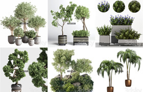 41組植物盆栽模型合集