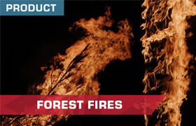 ActionVFX - Forest Fires 4k - 視頻素材
