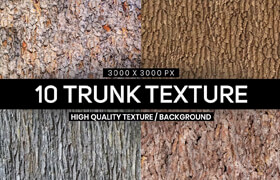 10 Tree Trunk Textures - 貼圖