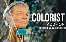 Colorist Pro - Blender 視圖內調色插件