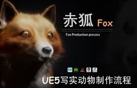 【正版】《赤狐》四足動物CG角色制作全流程教學 【ZB+MayaXgen+UE5】