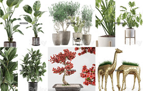 50套植物盆栽和裝飾品模型合集
