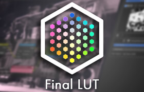 Final LUT