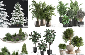 20個3dsky網站的植物和盆栽模型