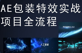 【正版】AE包裝特效實戰項目全流程
