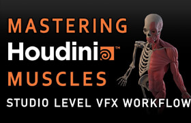 Flippednormals - Mastering Houdini Muscles - A Studio Level VFX Workflow
