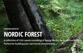 Megascans - Nordic Forest