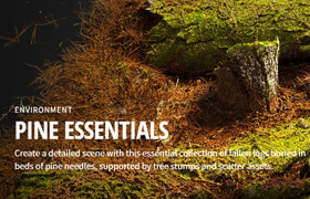 Megascans - Pine Essentials