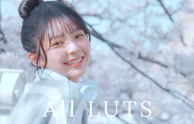 LutPacks Bundle (ALL 24 LUTs) HungKai Chen (HKC) - luts