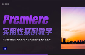 【正版】Premiere 2024案例教程88個高清實用案例教學