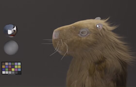 Udemy - Fundamentals of Fur Grooming in Houdini