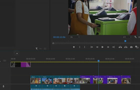 Udemy - Premiere Pro 101