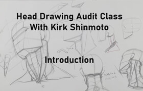 Gumroad - Kirk Shinmoto - Head Drawing Audit
