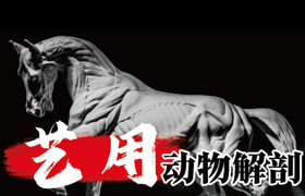 【正版】藝用動物解剖學