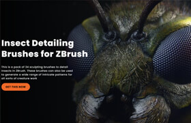 Zbrushguides - Insect Detailing Brushes for ZBrush - 筆刷