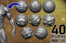 Artstation - 40 VDM Muscle Shape Brushes for ZBrush Vol 01